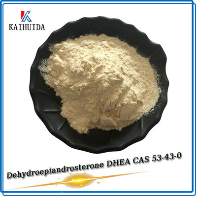 의약품 중간 물질 DHEA CAS 53-43-0